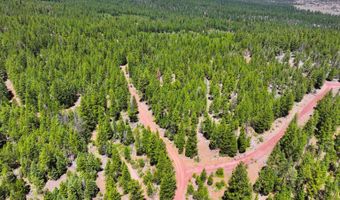 8193 Carlsberg Rd, Alturas, CA 96101