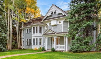 431 W Hopkins Ave, Aspen, CO 81611