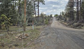 34008 Raccoon Ln, Bonanza, OR 97623