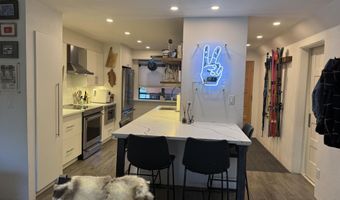 927 VINE St, Aspen, CO 81611