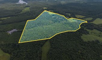 Holiday Lake Rd, Appomattox, VA 24522