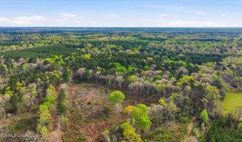 Harrisville Braxton Road, Braxton, MS 39044