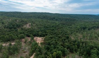 Tract 3 Hidden Valley, Annapolis, MO 63628
