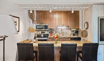 131 E Durant Ave 202, Aspen, CO 81611