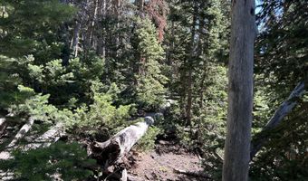 W Hunter Ridge DR, Brian Head, UT 84719
