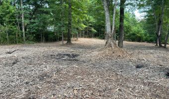 0 Warrick Barn Rd, Amherst, VA 24521