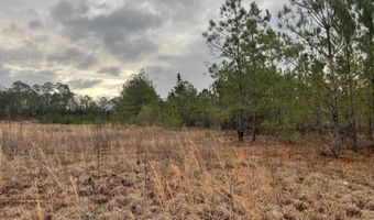 Lot 8 Sumrall Rd, Columbia, MS 39429