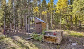 220 Timber Rd, Black Hawk, CO 80422