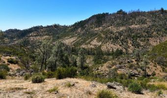 3335 Friesen Dr, Angwin, CA 94508