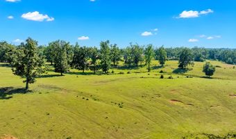 530 MS-15, Blue Mountain, MS 38610