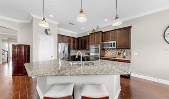 5324 MOON SHELL Dr, Apollo Beach, FL 33572