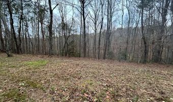 1089 Damascus, Ball Ground, GA 30107