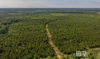 Flowers Road, Bay Minette, AL 36507