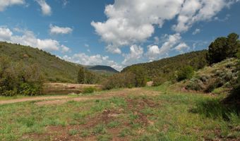3691 E Sopris Creek Rd, Basalt, CO 81621