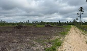 9 219 Ac Rhine Alma GA Rd, Alma, GA 31510