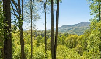 479 Old Dummy Line, Balsam, NC 28707