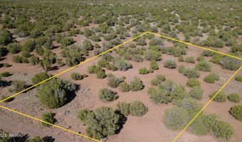 24 County Road 8063, Concho, AZ 85924