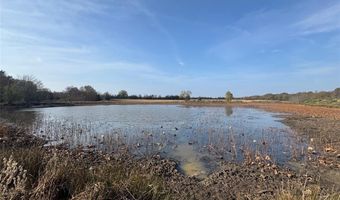 000 FM 44, Annona, TX 75550