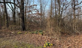 Arnhart Street, Ash Flat, AR 72513