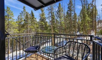 410 N Aspen St, Alma, CO 80420