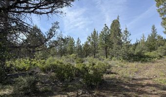 Porpoise Lane lot 29, Bonanza, OR 97623