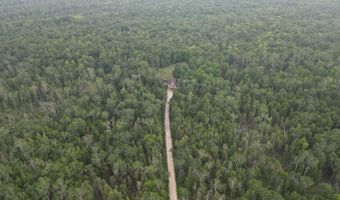 6555 Monaghan Point Rd, Alpena, MI 49707