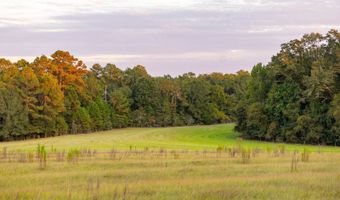 100 Acres Harmony Church Rd, Andalusia, AL 36421