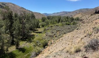 E Fork Road, Clayton, ID 83227
