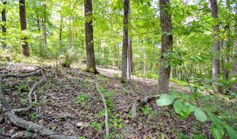 000 Twin Springs Dr 20, Cassville, MO 65625