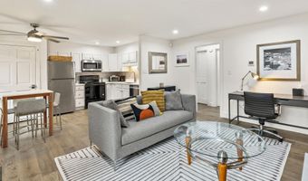 1020 E Durant Ave 203, Aspen, CO 81611