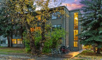 725 E Main St 309, Aspen, CO 81611