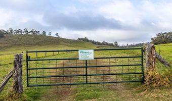 23 ALULIKE Rd, Kamuela, HI 96743
