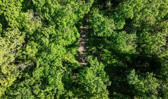 9707 Rogers Rd, Alanson, MI 49706