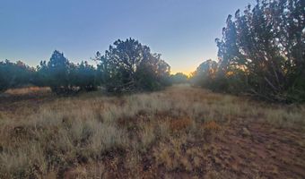 1 COUNTY ROAD N8155, Concho, AZ 85924