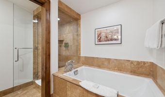 415 E Dean St Unit 10 Weeks 51 + 52, Aspen, CO 81611