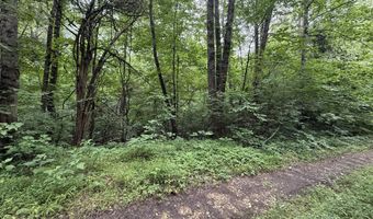 5 Lots Fortunato Dr, Baneberry, TN 37890