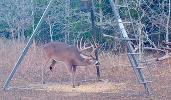 Lake OZZIE COBB 102-B, Antlers, OK 74523