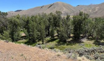 E Fork Road, Clayton, ID 83227