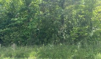 Sr 1916 & 1917, Aurora, NC 27806