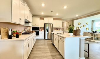 34057 Skyflower Loop, Lewes, DE 19958