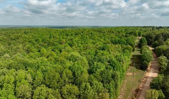 270 Dry Bone Rd, Ash Flat, AR 72513