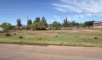 1700 W Fort Davis Ave, Alpine, TX 79830