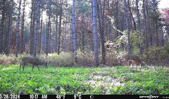 8752 HWY A, Almond, WI 54909