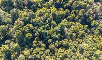 000 County Road 1320 BETWEEN COUNTY ROADS 1324 AND 1320, Bardwell, KY 42023