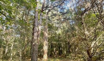 Tbd FM 44 E, De Kalb, TX 75559