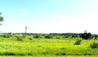 Sunset Boulevard 52, Alanson, MI 49706