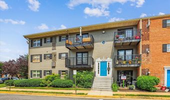 5909 QUANTRELL Ave 203, Alexandria, VA 22312