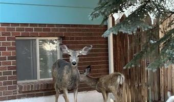 1024 Red Butte Ave, Cody, WY 82414