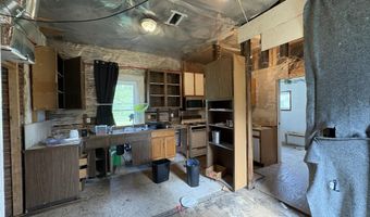 216 W Chestnut St, Albion, MI 49224