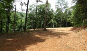 8 63ac Gravely Hill Rd, Bethpage, TN 37022